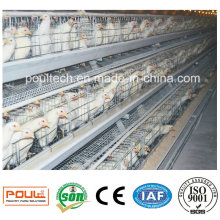 Pullet Farm Battery Cages Automatic Equipment